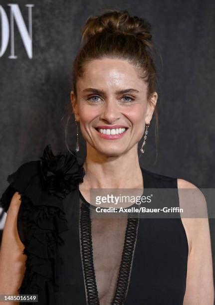 12,300 Amanda Peet Images Stock Photos & High。